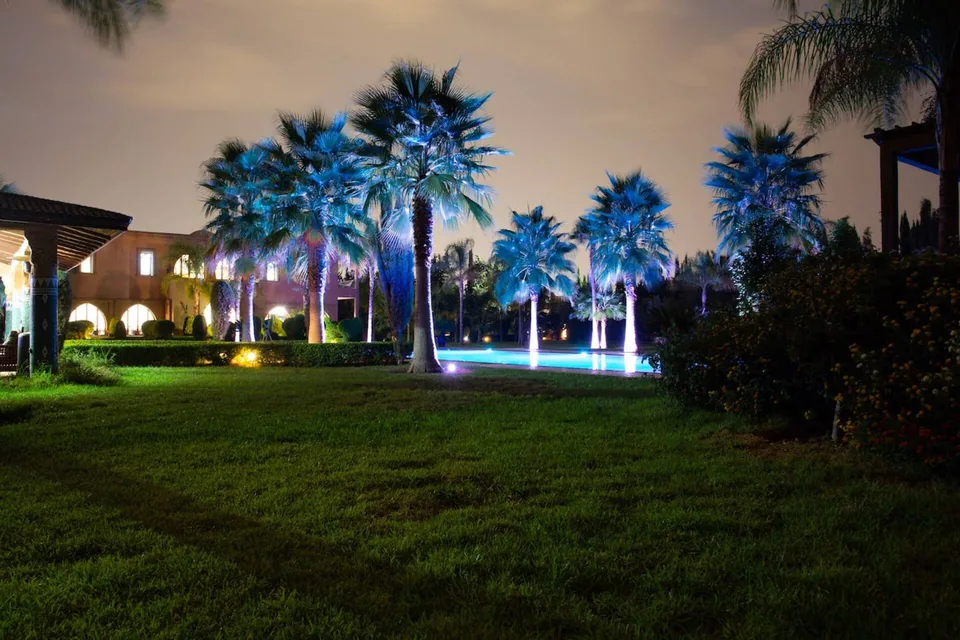 The estate and palm grove floodlit in blue after dark