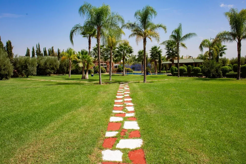A stepping-stone path crossing the lawn between the palms