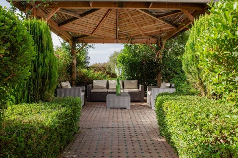 A hedged garden walk leading to the shaded pergola lounge