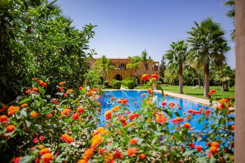 Marigolds and bougainvillea bordering the turquoise pool
