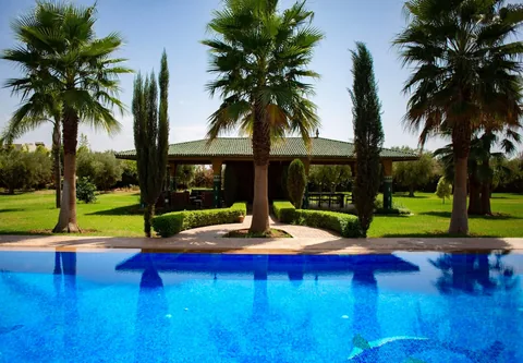 Palm-lined pool deck under the Marrakech sun